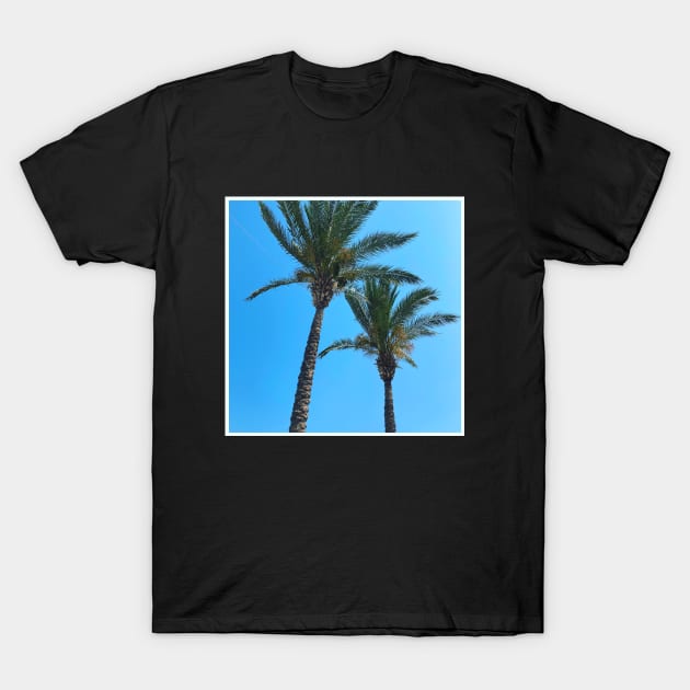 Pretty picture of a Palm Tree. Pretty Palm Trees Photography design with blue sky T-Shirt by BoogieCreates